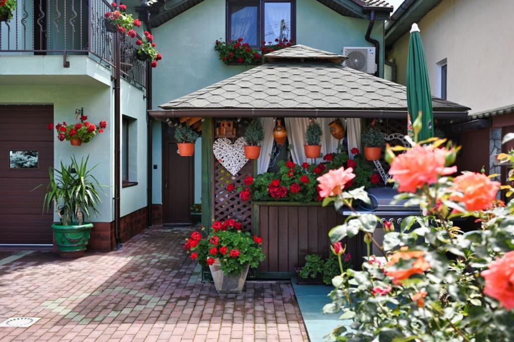 Отель Casa Cizi Кэлимэнешти Экстерьер фото