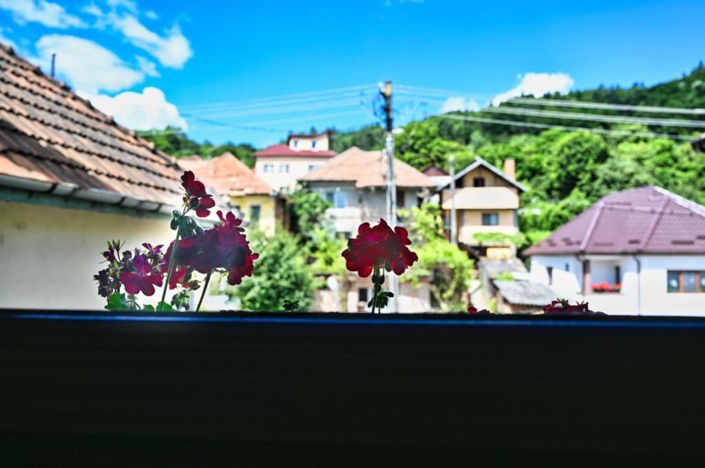 Отель Casa Cizi Кэлимэнешти Экстерьер фото